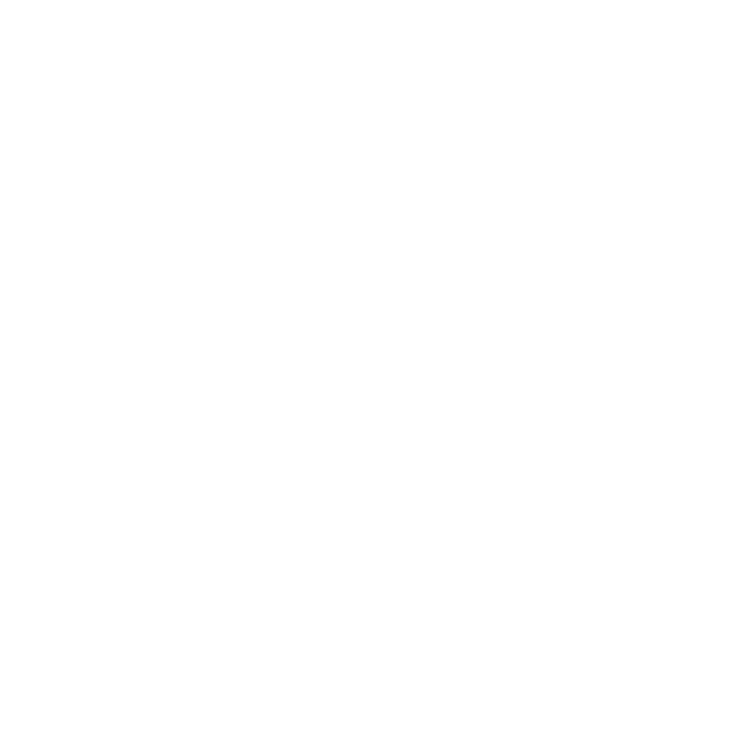 Delivery Icon