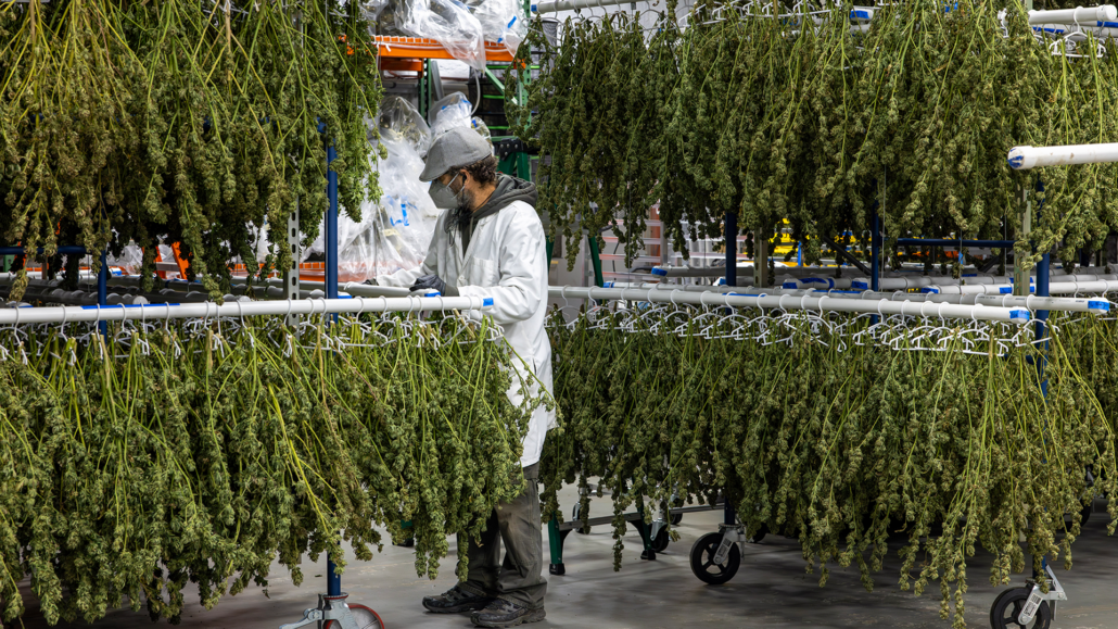 Massachusetts adult-use cannabis sales surpass $10 billion cumulative mark